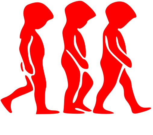 Motion Lab Systems